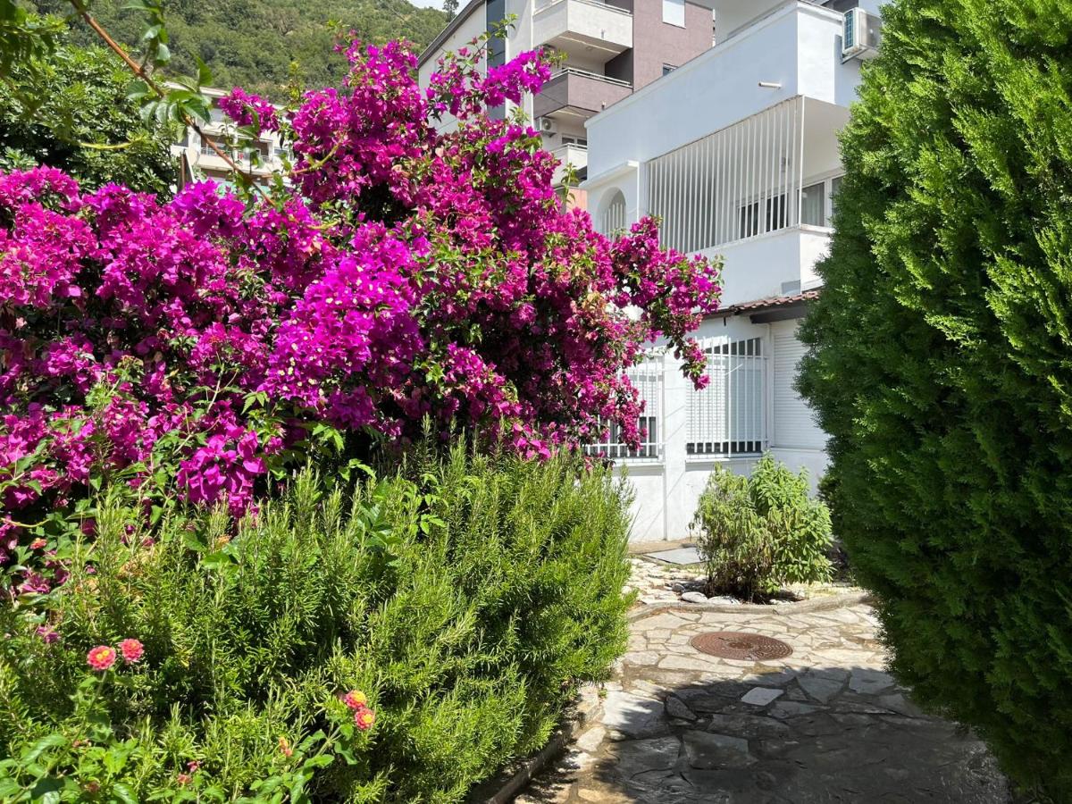 Stella Petrovac - B&B Petrovac na Moru