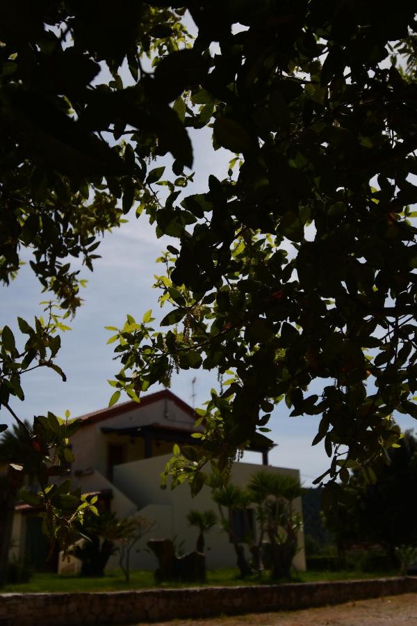 Fattoria La Traccia - B&B