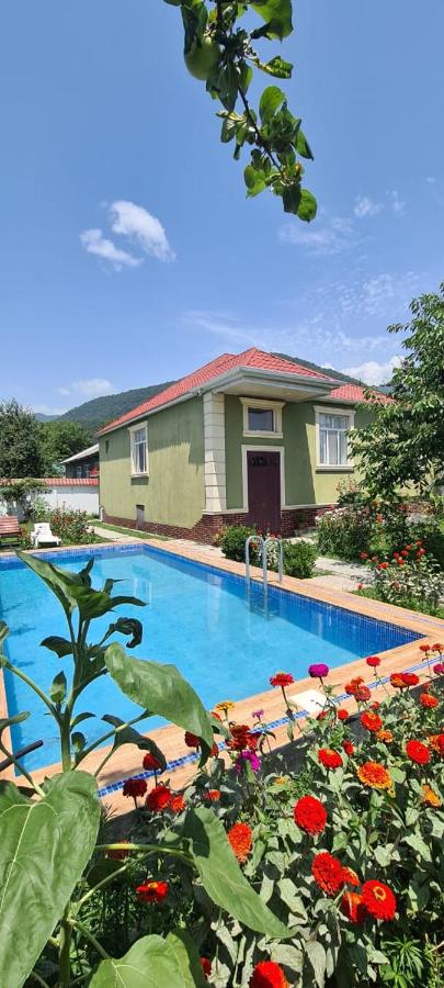 B&B Gabala - Cavid Flowers Mekan - Bed and Breakfast Gabala