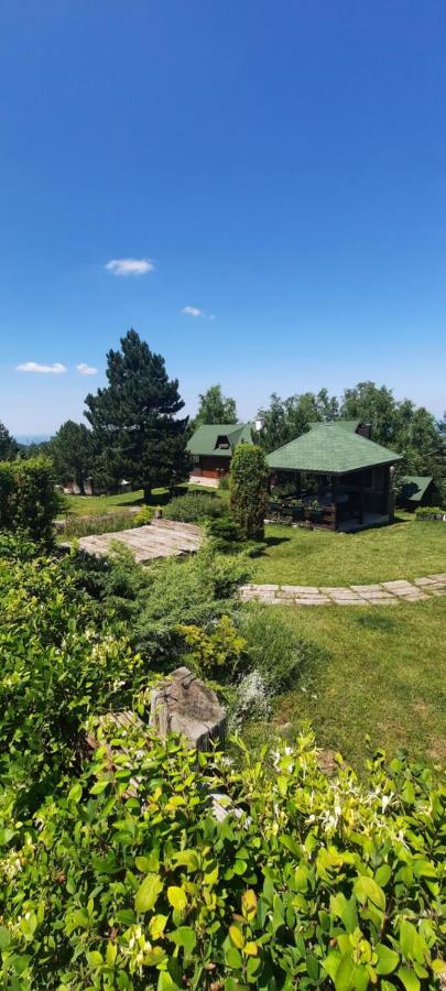 B&B Divčibare - Vila Kraljev sto - Bed and Breakfast Divčibare