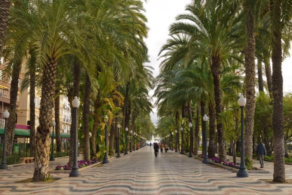 Apartamento Centro Rambla Alicante A - B&B Alicante