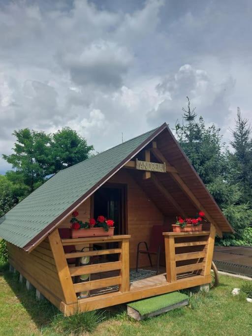 B&B Bistra - Căbănuță la Munte cu Piscină - Bed and Breakfast Bistra