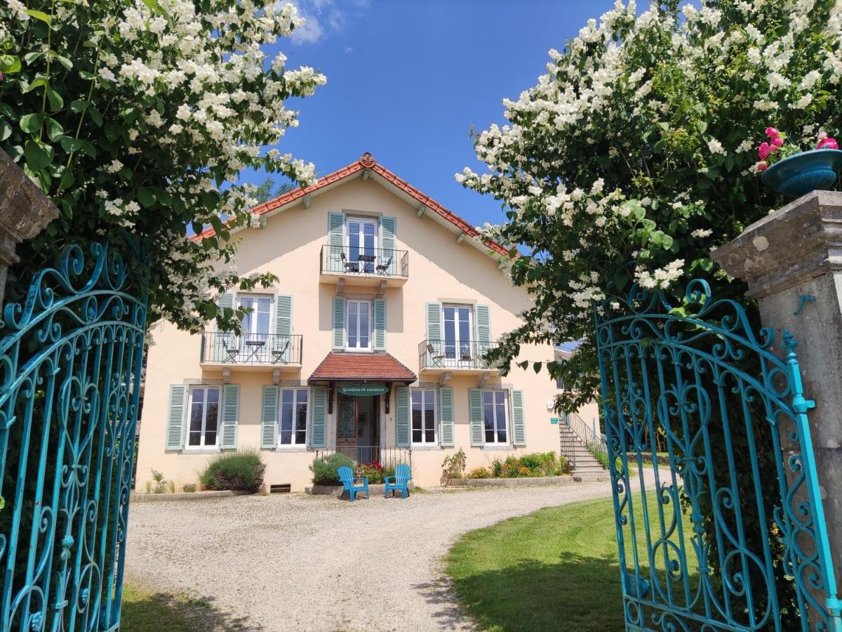 Apartment - Erdgeschoss