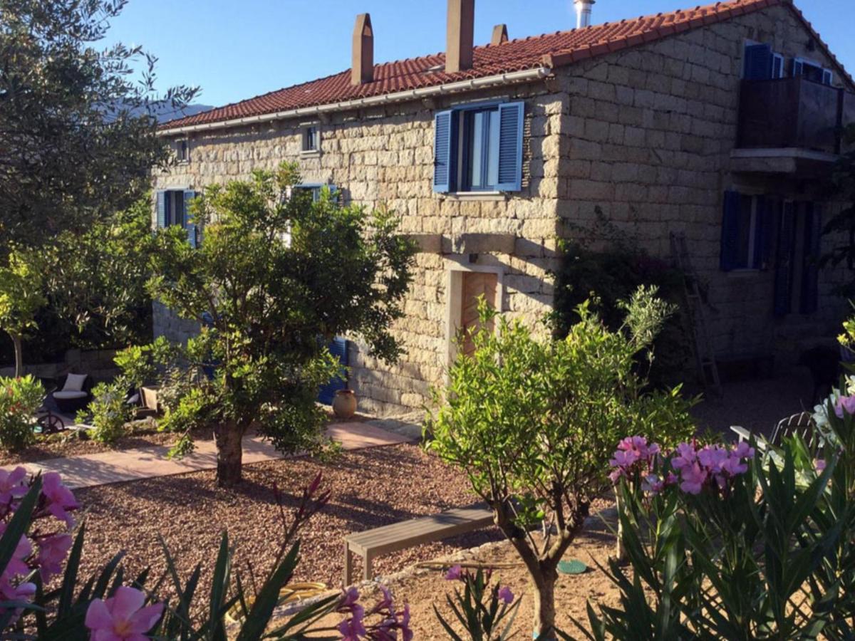 B&B Figari - Le moulin de Figari, oil mill & pool - Bed and Breakfast Figari