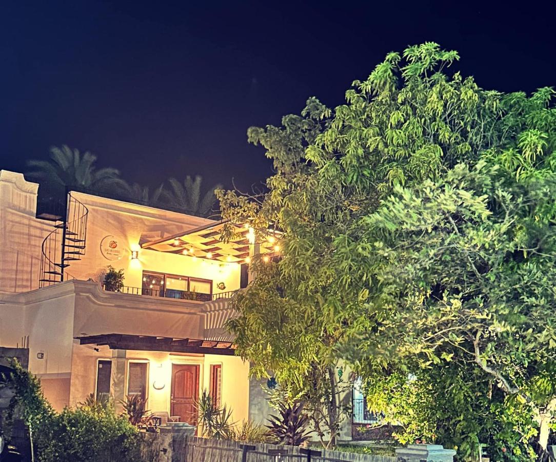 Casa Las Victorias - B&B Loreto