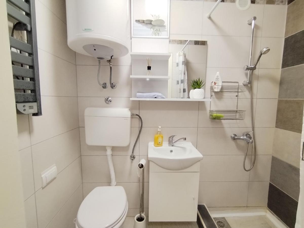 Apartment mit 1 Schlafzimmer