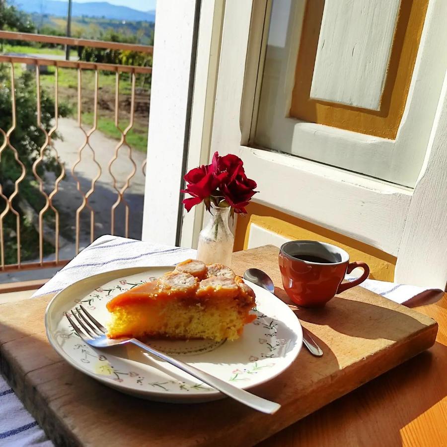 B&B La Ciammaruca - B&B