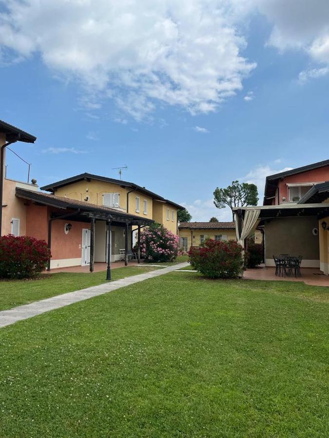 Apartment Dragonfly - garden and pool - B&B