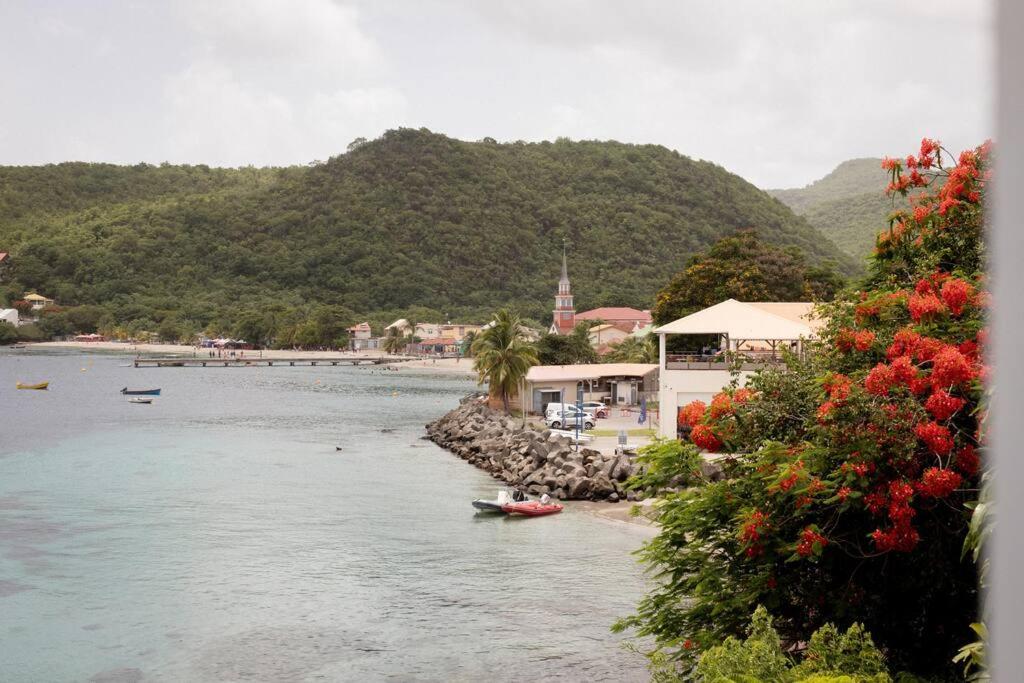 TI PUNCH, appartement 3 pièces neuf, front de mer - B&B Les Anses-d'Arlet