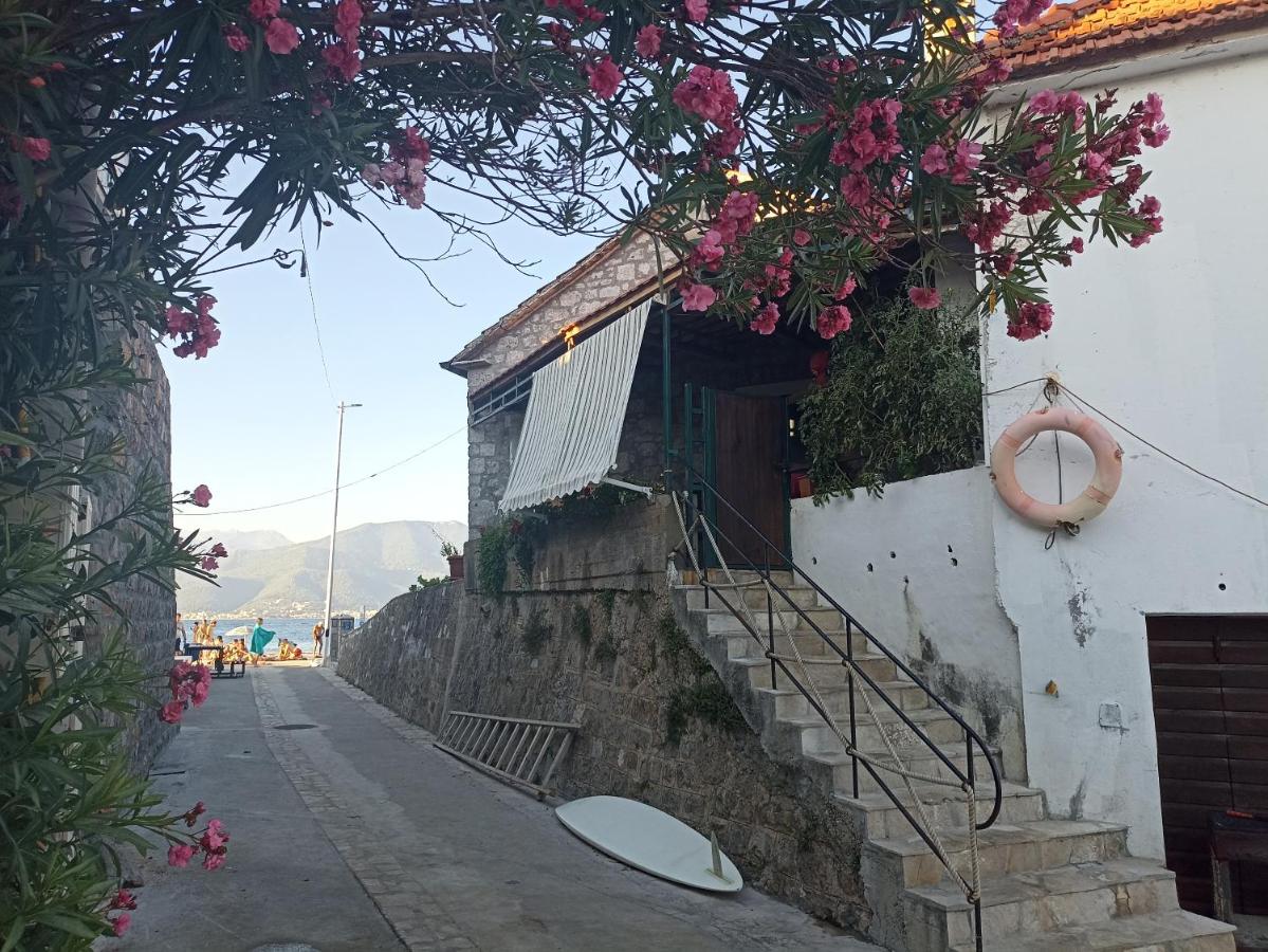 19th century stone house on the seashore - B&B Radovići