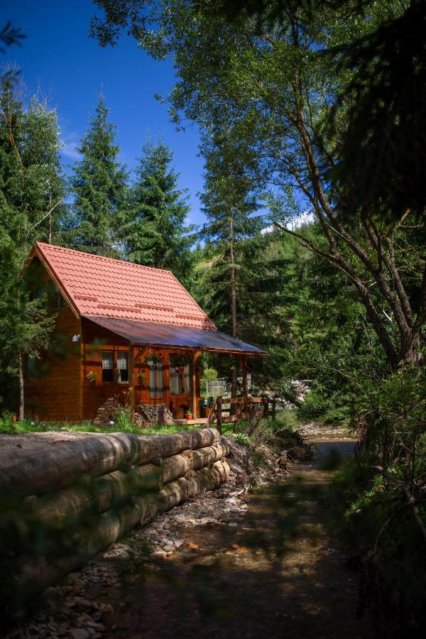 Pura Vida Forest Home - B&B