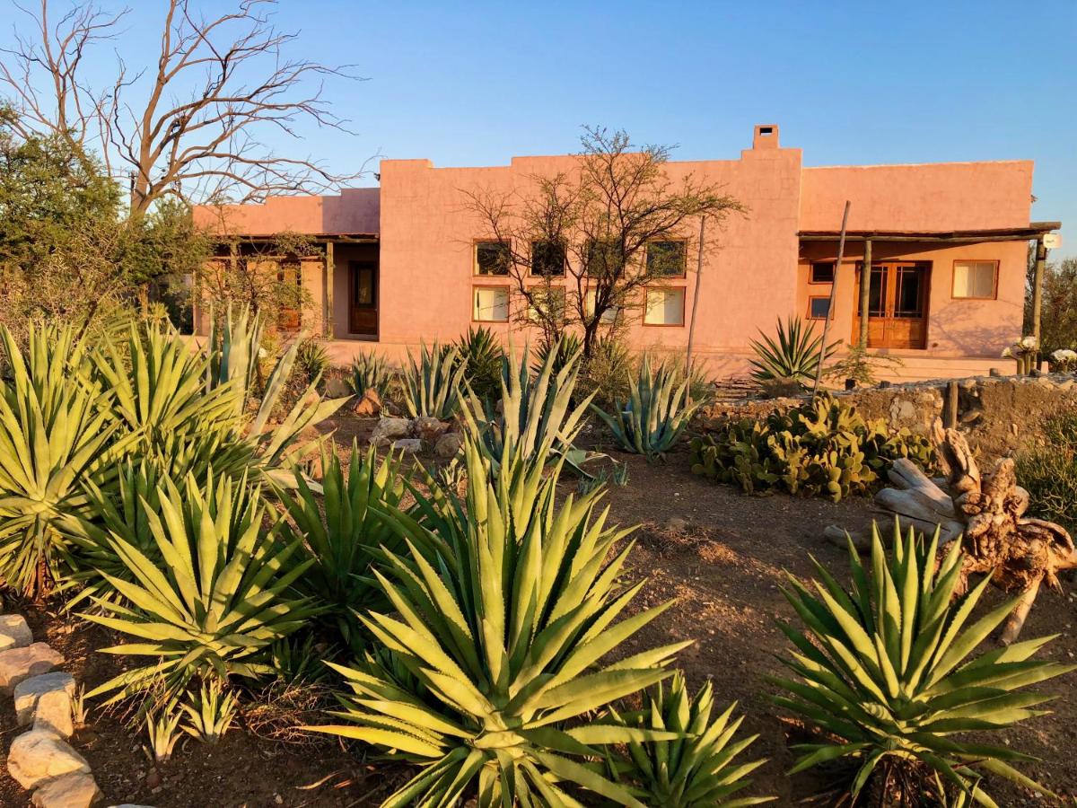 AGAVE HOUSE - B&B