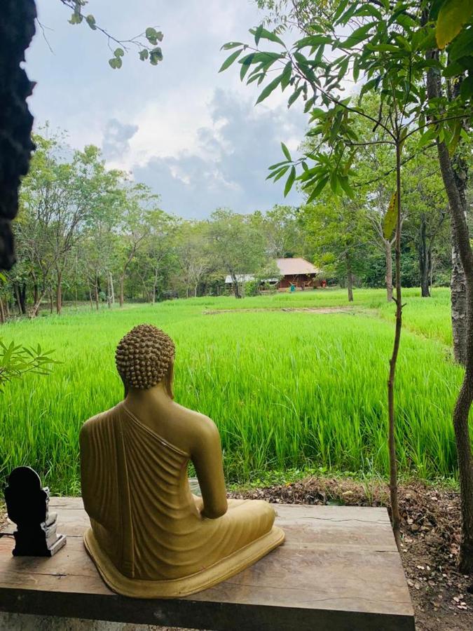 Sahana Retreat - Ferienwohnung Buttala