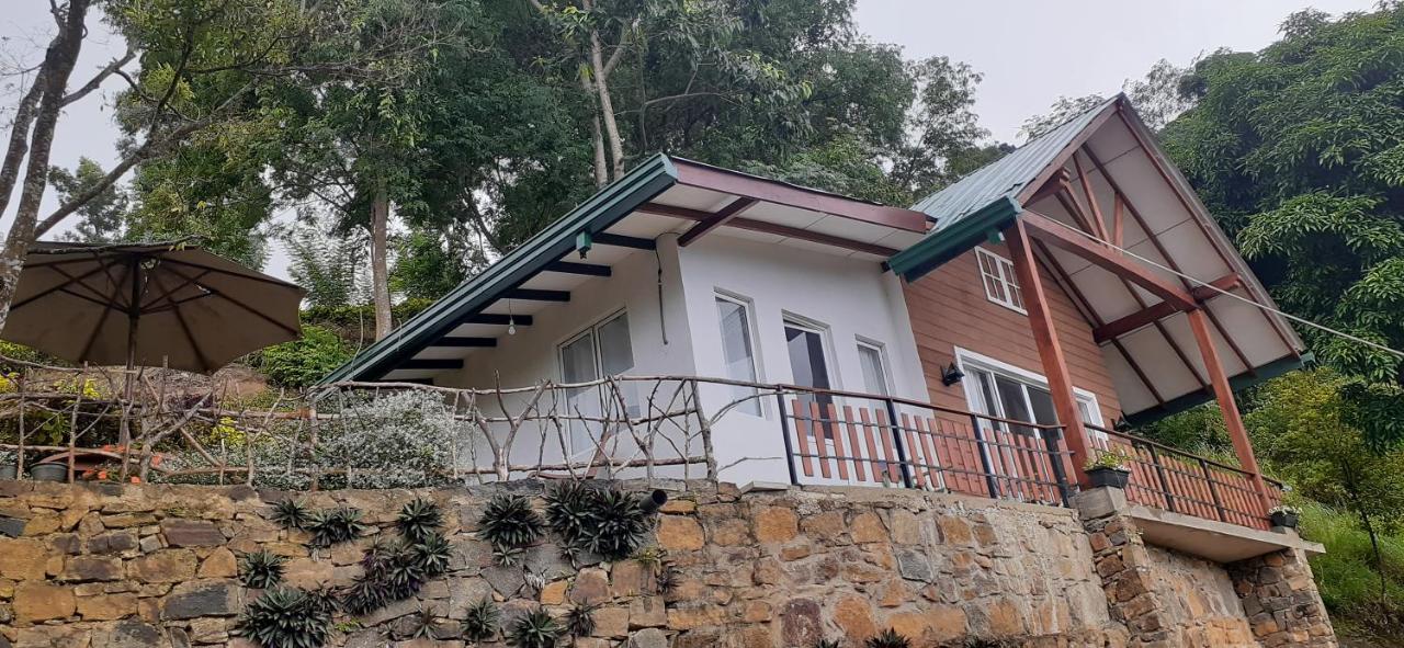 Family Room with Balcony