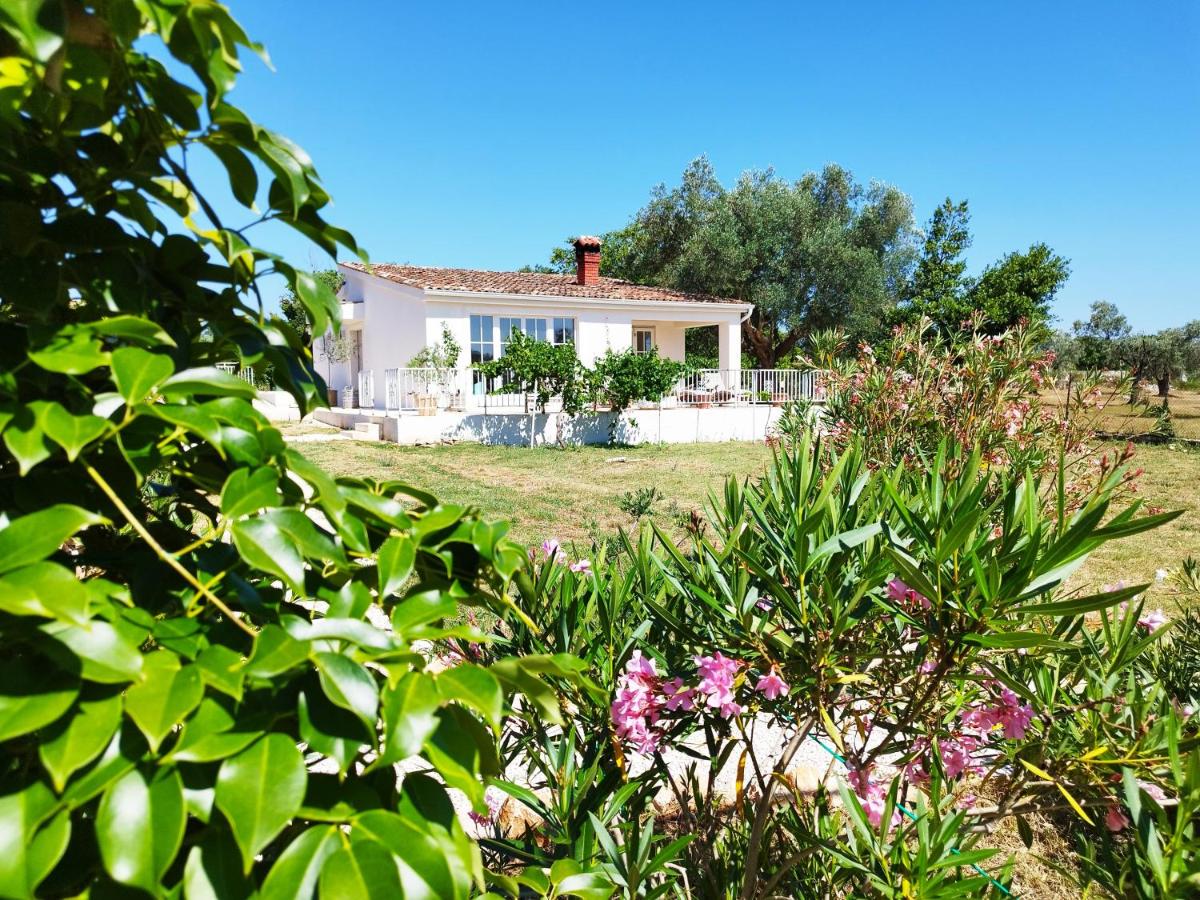 Villa Elizej - Chambres d’hôtes