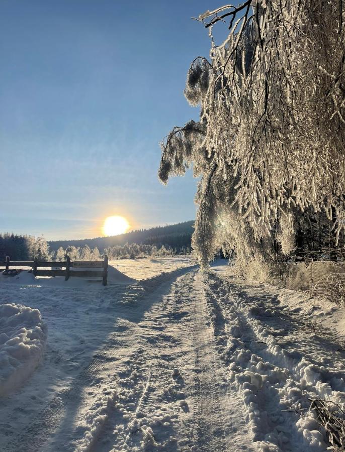 Helenowa Polana - Ferienwohnung Stary Gierałtów