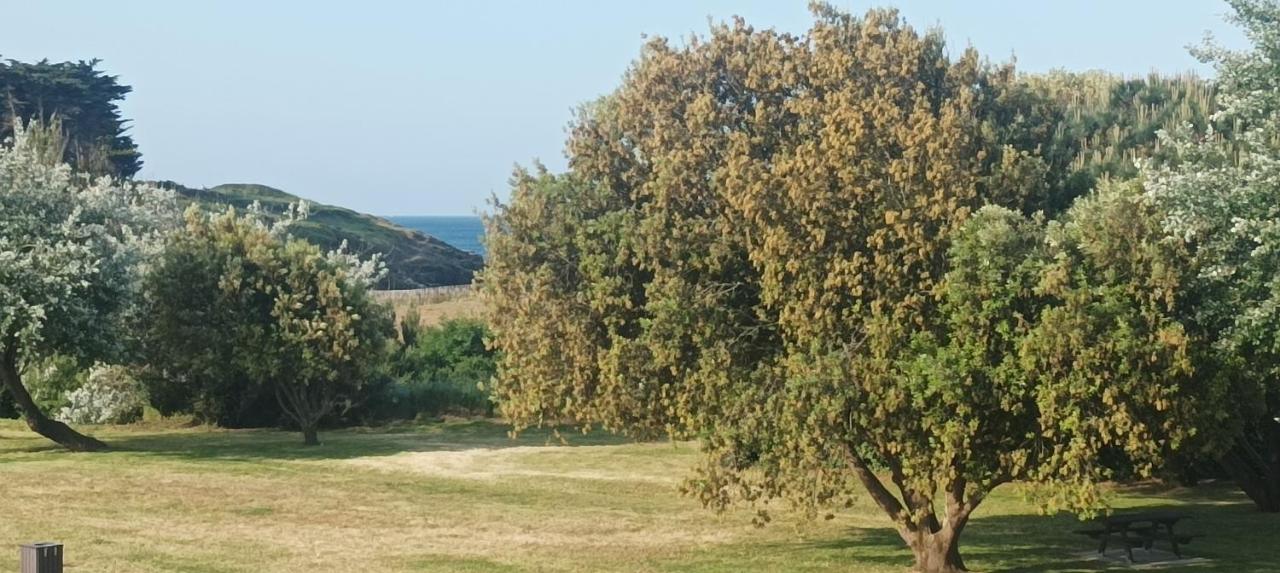 Appartement vue mer exceptionnelle à 100m très belle plage - B&B