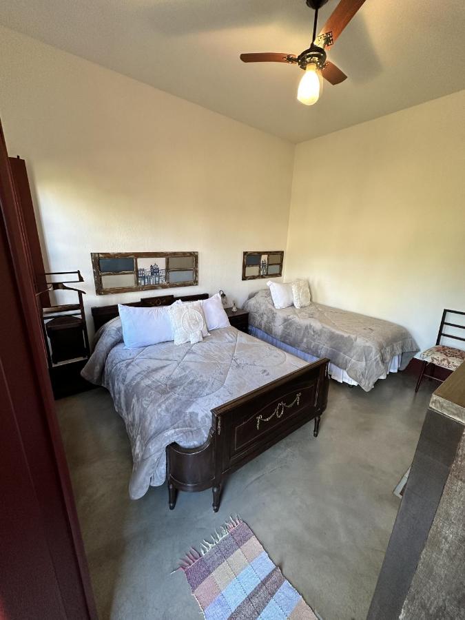 Standard Suite
