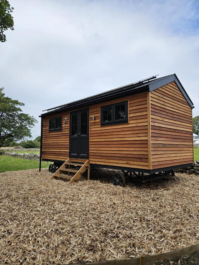 Woodland Shepherds Hut - 'Saga' - Chambres d’hôtes