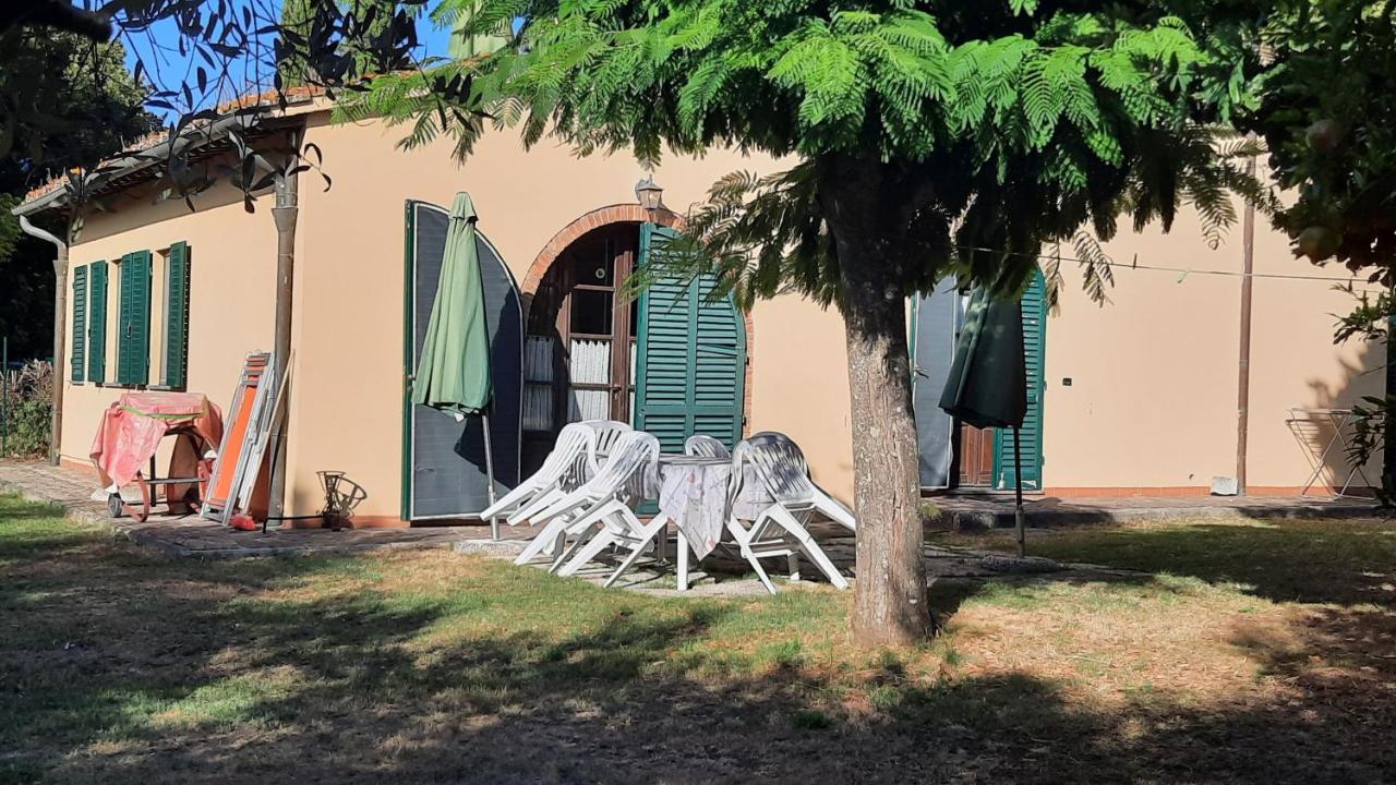 Podere Il Cerrone app Romilda con piscina - B&B Fauglia