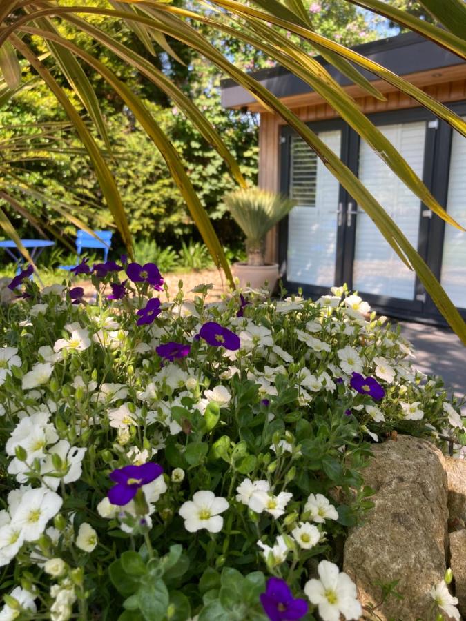 Hares Corner - Chambres d’hôtes Merston