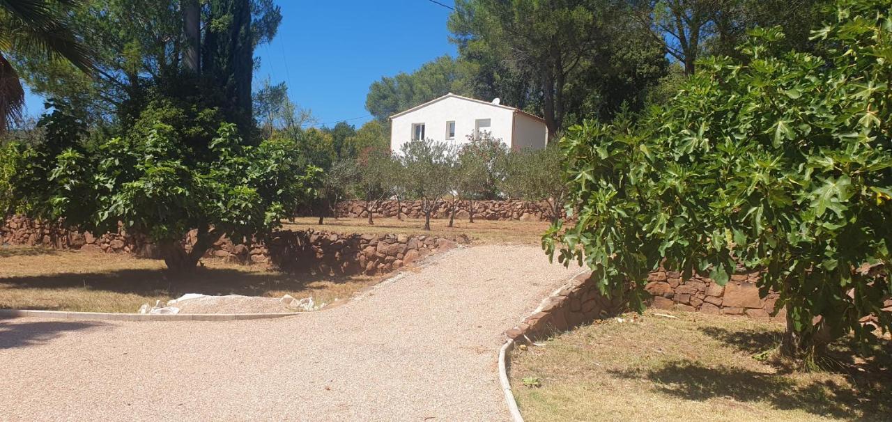 Bastidon du camp de jeanne - B&B Cuers