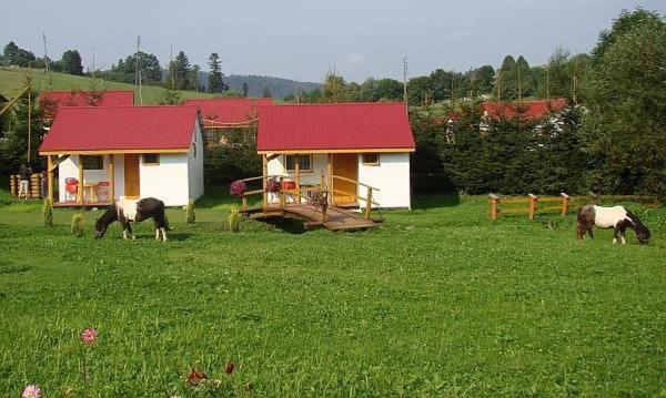 B&B Zawóz - Domek nr8 - Bed and Breakfast Zawóz