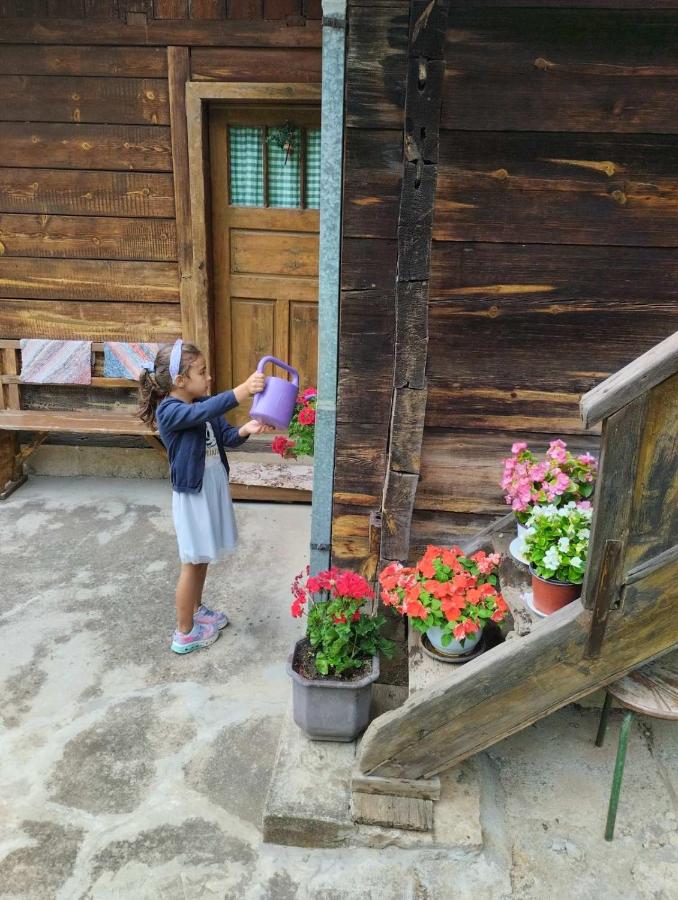 Kuća za odmor Kalina - Chambres d'hôtes Mokra Gora