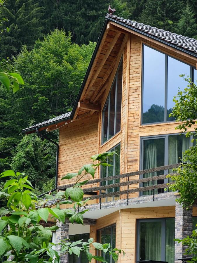 Izvorul lui Dracula - Chambres d’hôtes Râşnov