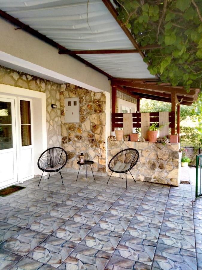Studio with Garden View