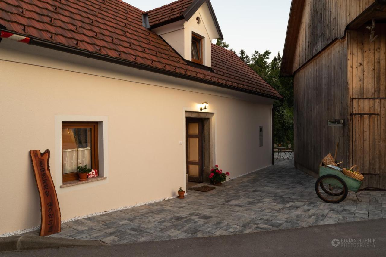 Cherry house - cosy house - ideal for bear watching, in the neighborhood of the medieval Snežnik castle - Chambres d'hôtes Stari trg pri Ložu