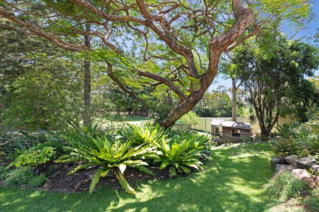 A Charming Queenslander - Bed and Breakfast