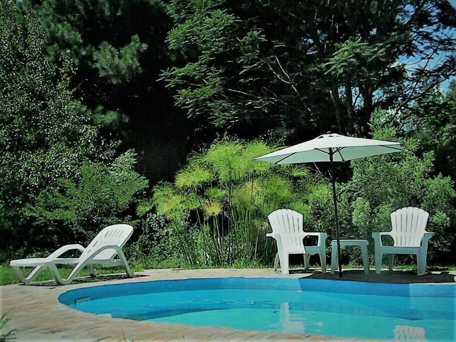 Sen de campo: viví la naturaleza - B&B