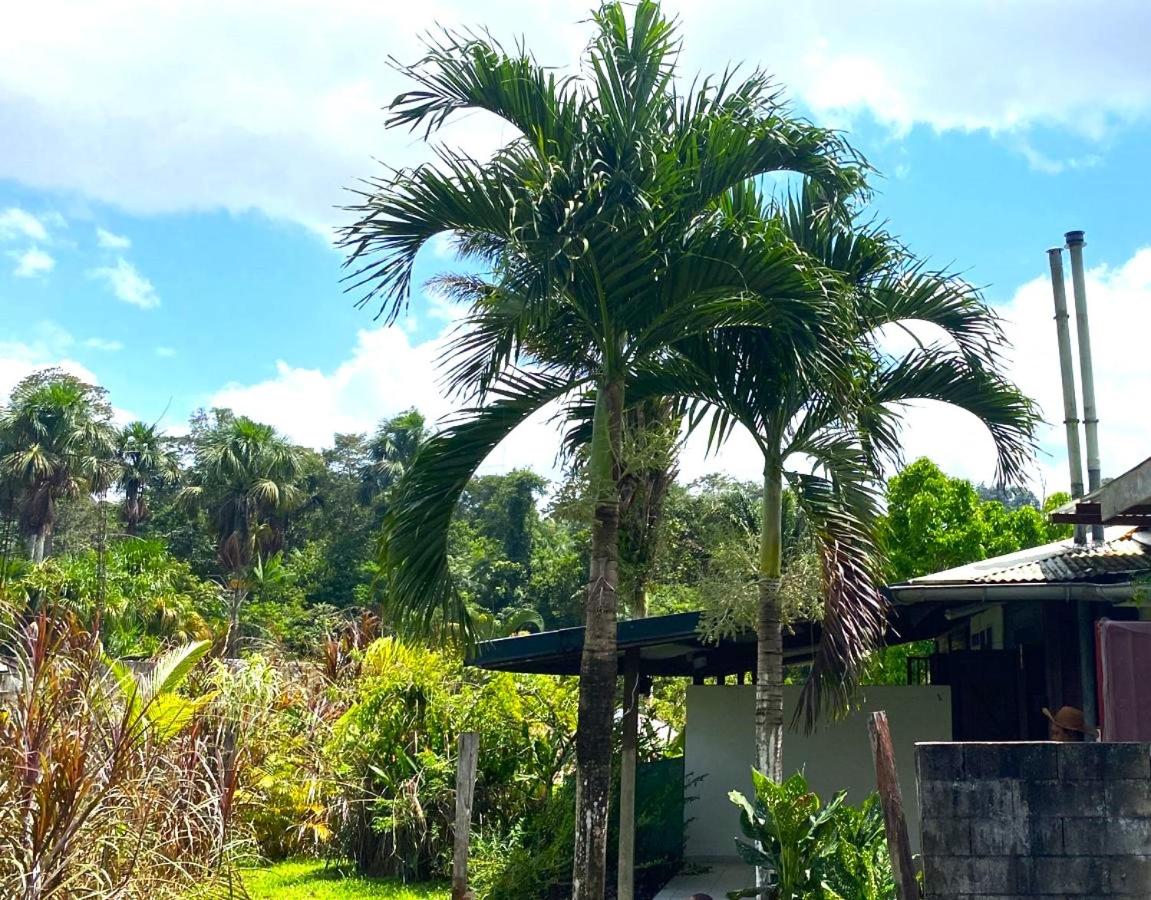 Dolce Vita Kreyol - B&B