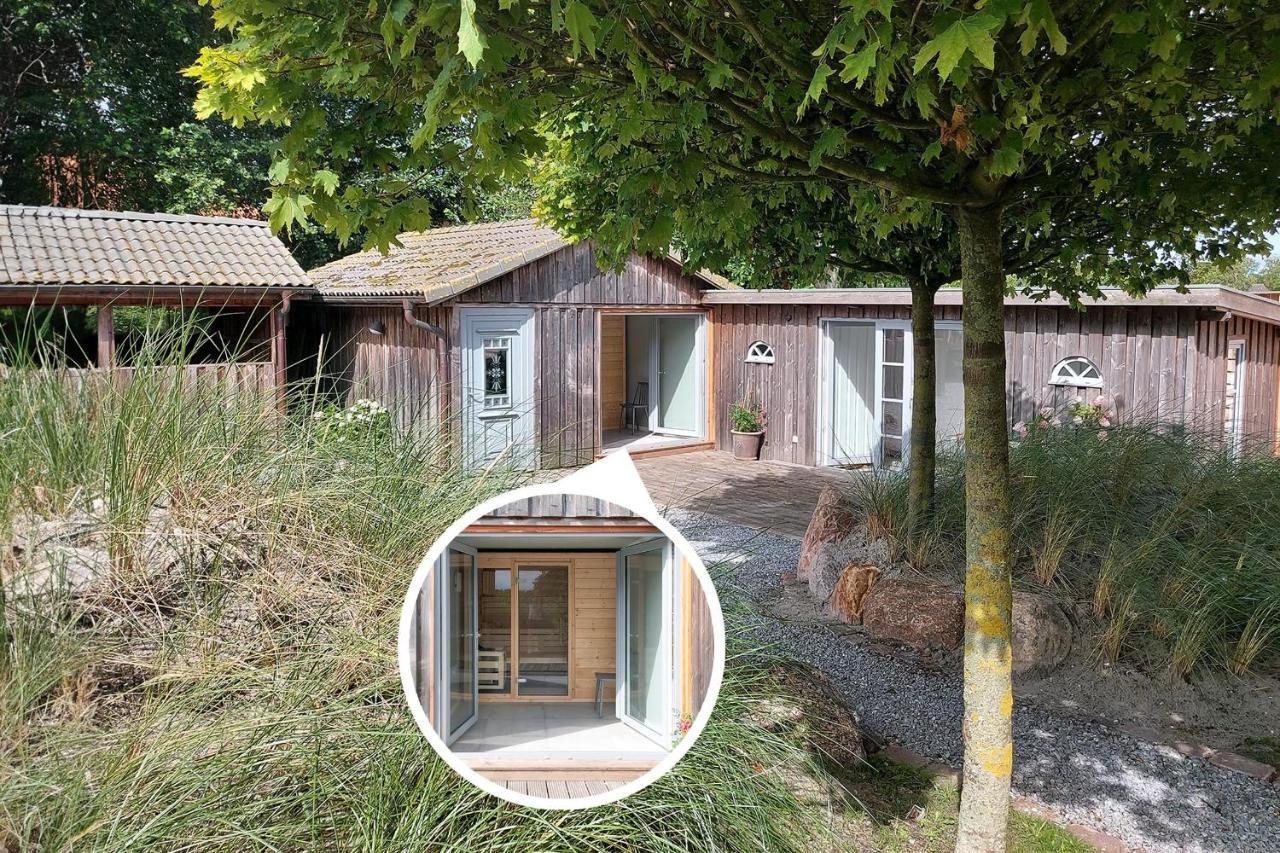 Grosse Lachmöwe - B&B Sankt Peter-Ording