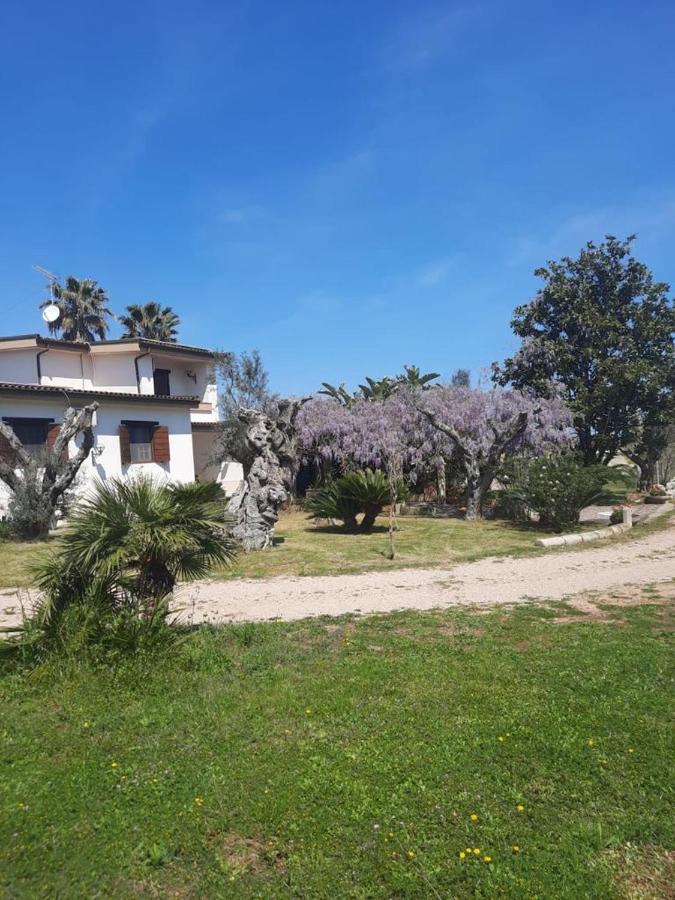 Villa del Ruach - B&B