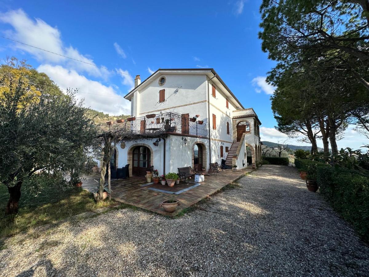 B&B Ripatransone - Casa Vacanze Cristina - Holiday House - Bed and Breakfast Ripatransone