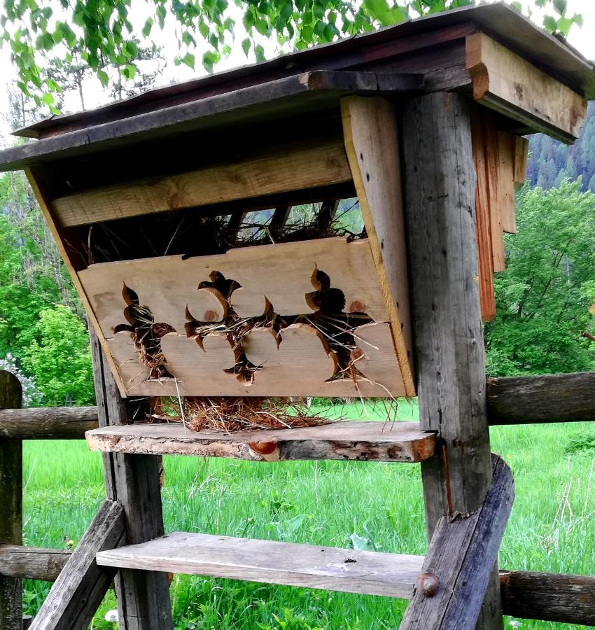 Casa Amabile - Chambres d’hôtes San Vito di Cadore