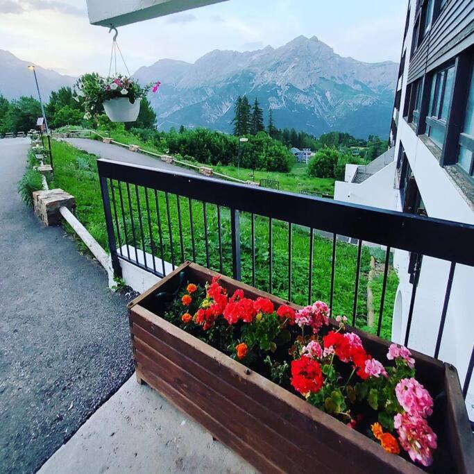Joli studio 4 couchages aux pieds des pistes - B&B