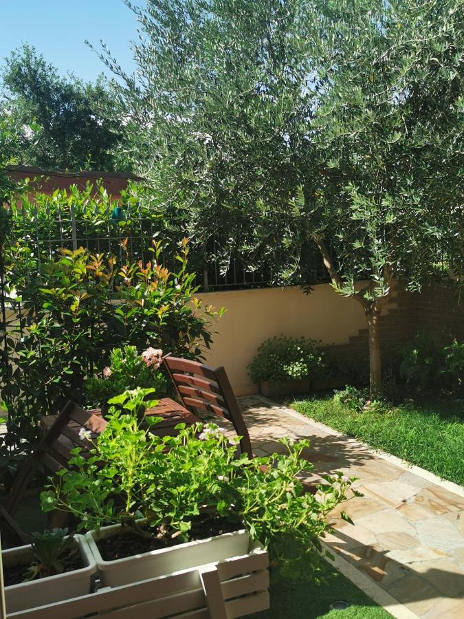 Il gelsomino - B&B