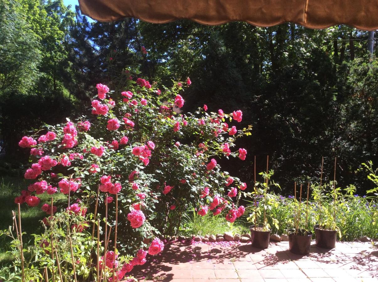 Pokój w domu z ogrodem w Milanówku - B&B Milanówek