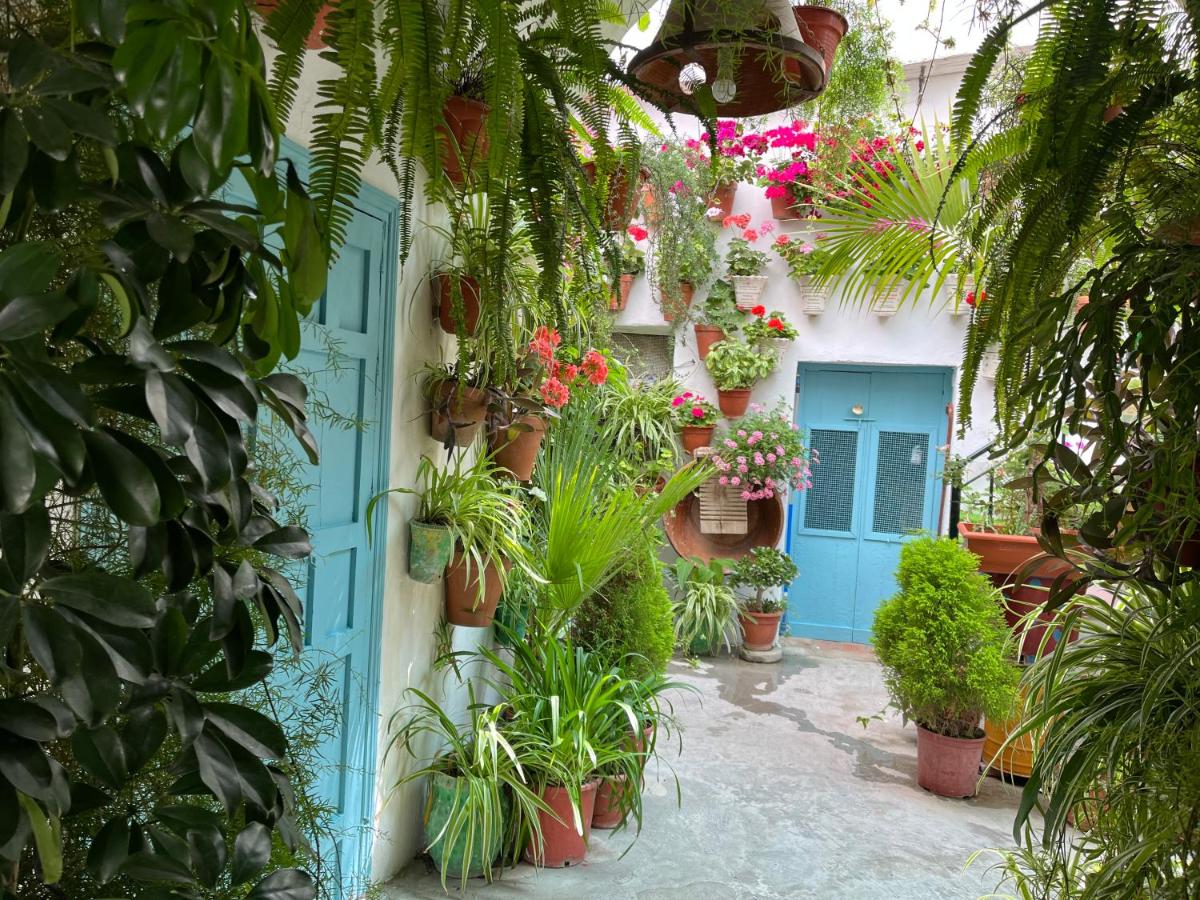 Apartamento la muralla - B&B