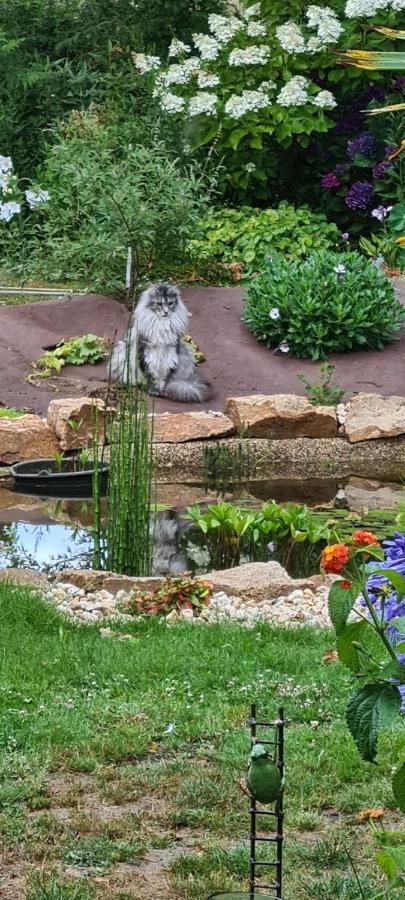 L'Oustaou du Bodo - Chambres d’hôtes Ambon
