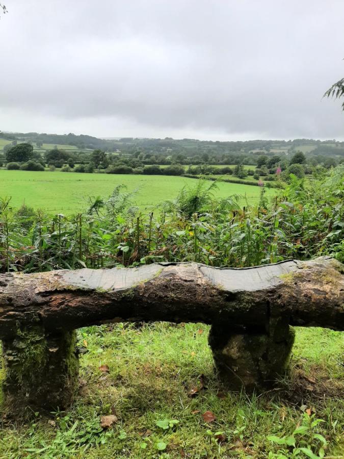 Y Smithy - Ferienwohnung Llanybydder