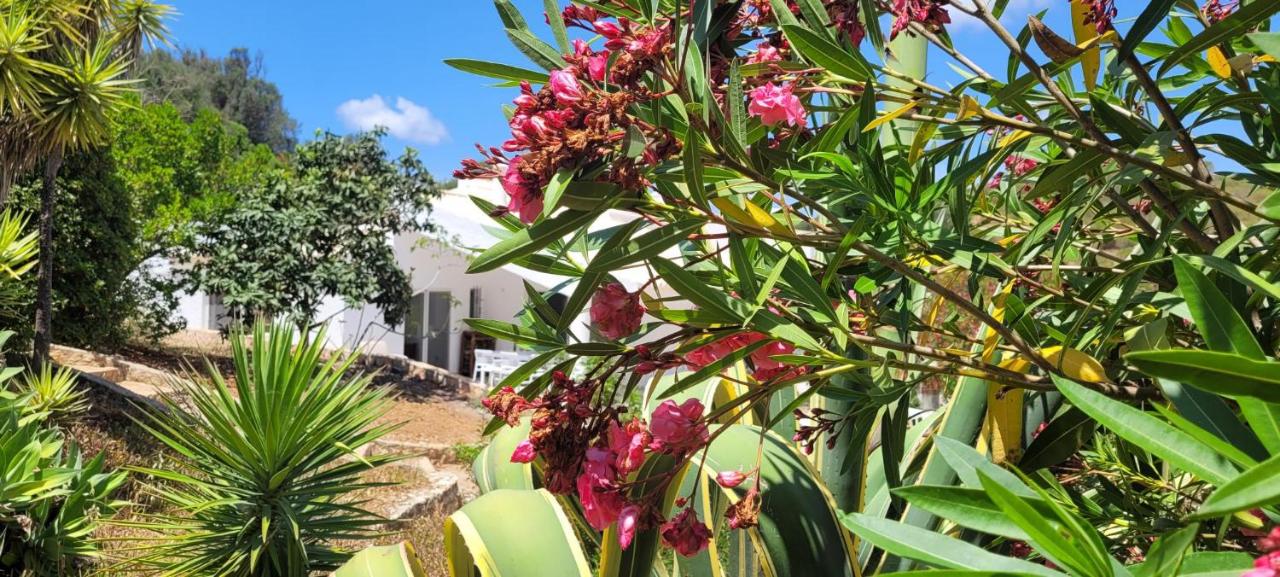 Casa do Poço - B&B