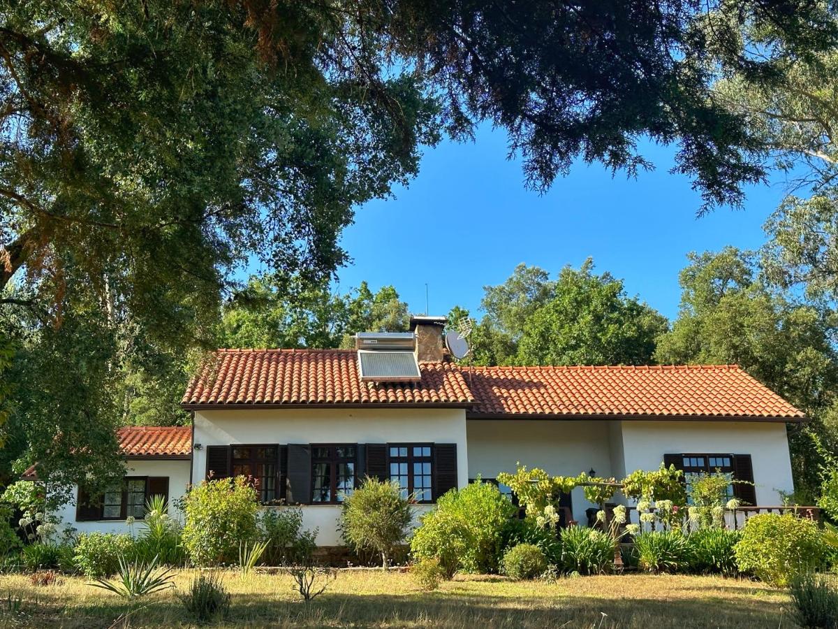 Quinta Do Pereiro - Ferienwohnung