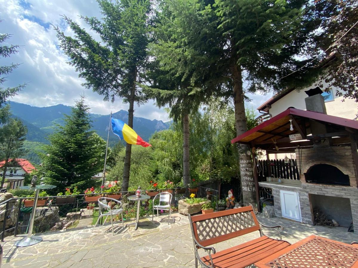 Vila Mara Busteni - B&B Buşteni
