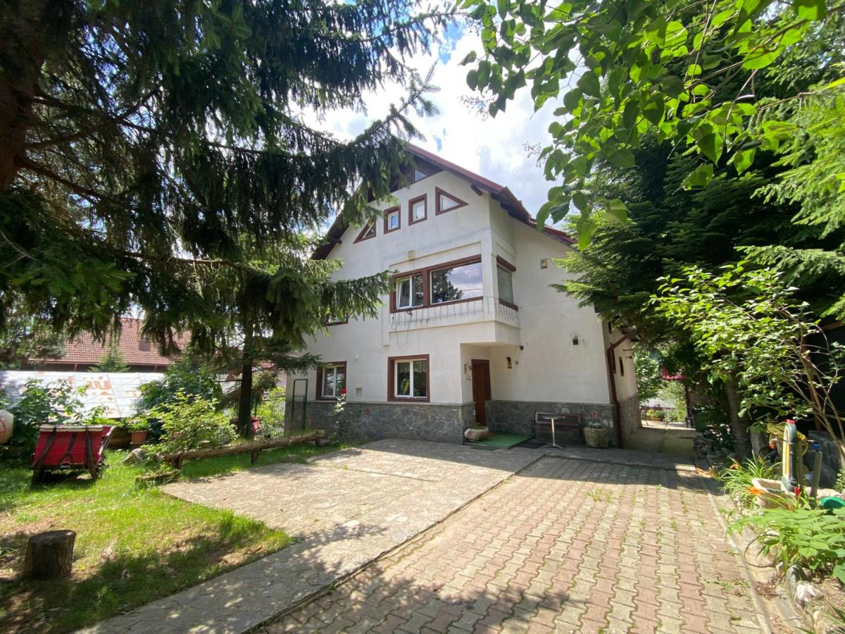 Vila Mara Busteni - B&B