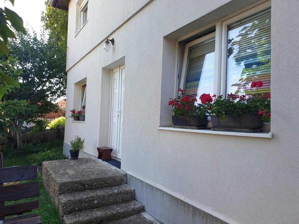 Nature - B&B Gacko