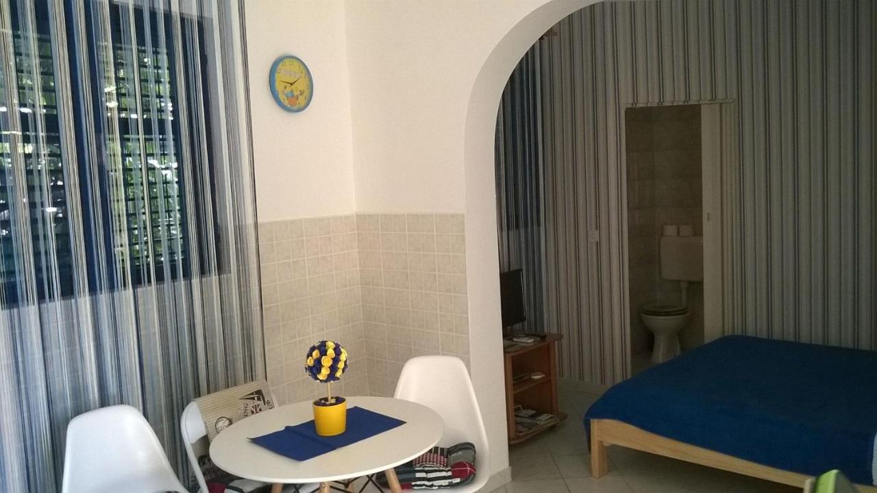 Estudio con terraza